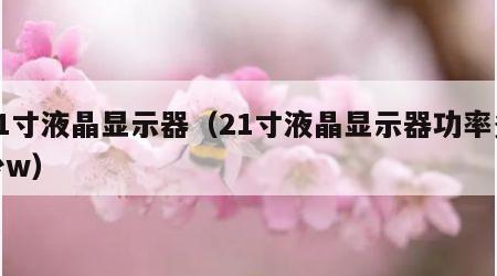 21寸液晶显示器（21寸液晶显示器功率多少w）