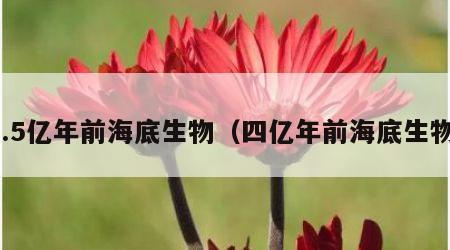 5.5亿年前海底生物（四亿年前海底生物）
