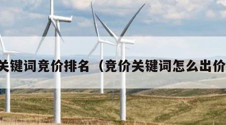 关键词竞价排名（竞价关键词怎么出价）