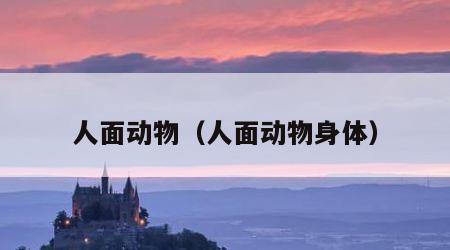人面动物（人面动物身体）