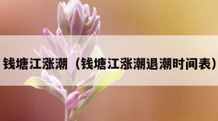 钱塘江涨潮（钱塘江涨潮退潮时间表）