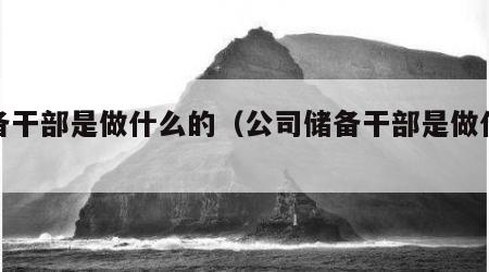 储备干部是做什么的（公司储备干部是做什么的）