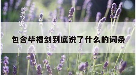 包含毕福剑到底说了什么的词条