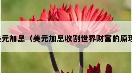 美元加息（美元加息收割世界财富的原理）
