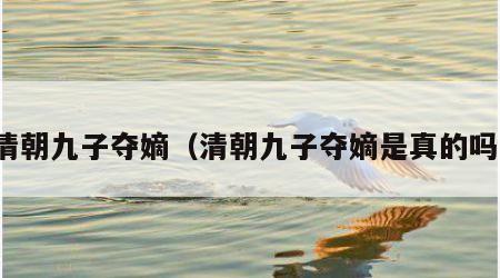 清朝九子夺嫡（清朝九子夺嫡是真的吗）