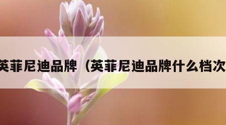 英菲尼迪品牌（英菲尼迪品牌什么档次）