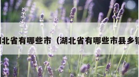 湖北省有哪些市（湖北省有哪些市县乡镇）