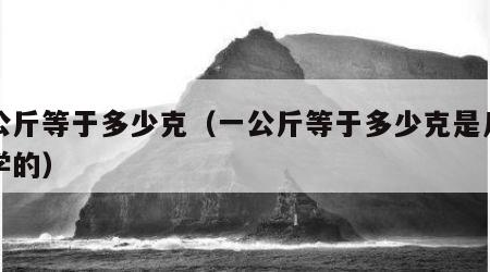 一公斤等于多少克（一公斤等于多少克是几年级学的）