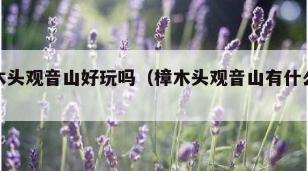 樟木头观音山好玩吗（樟木头观音山有什么玩的）