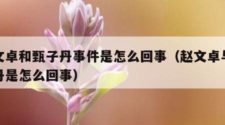 赵文卓和甄子丹事件是怎么回事（赵文卓与甄子丹是怎么回事）