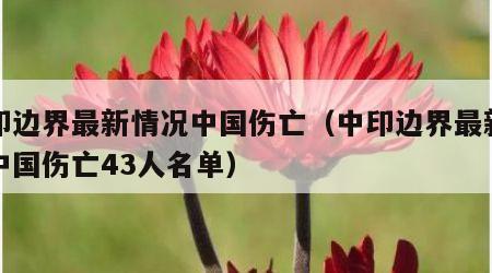 中印边界最新情况中国伤亡（中印边界最新情况中国伤亡43人名单）