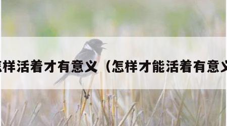 怎样活着才有意义（怎样才能活着有意义）