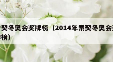 索契冬奥会奖牌榜（2014年索契冬奥会奖牌榜）