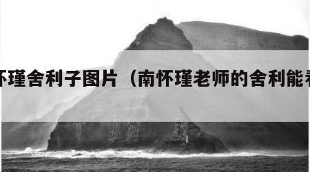 南怀瑾舍利子图片（南怀瑾老师的舍利能看到吗）