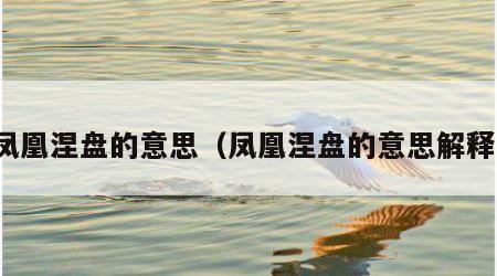 凤凰涅盘的意思（凤凰涅盘的意思解释）