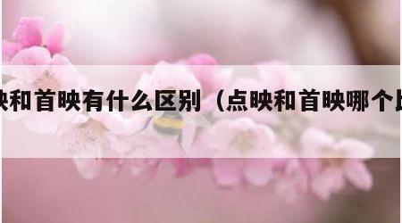 点映和首映有什么区别（点映和首映哪个比较好）