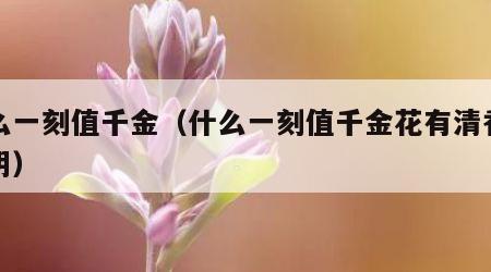 什么一刻值千金（什么一刻值千金花有清香明月阴）