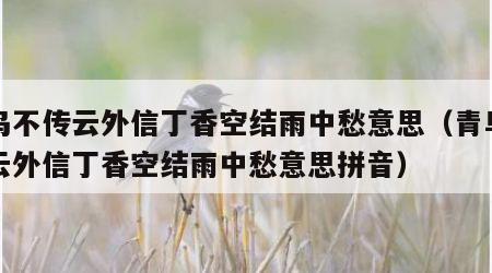 青鸟不传云外信丁香空结雨中愁意思（青鸟不传云外信丁香空结雨中愁意思拼音）