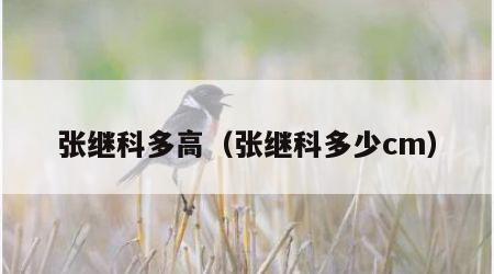 张继科多高（张继科多少cm）