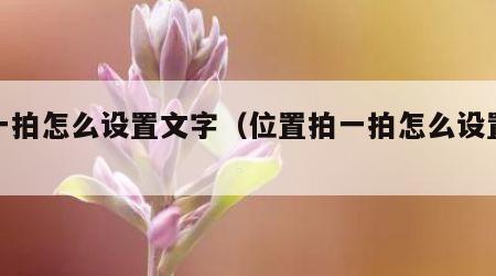 拍一拍怎么设置文字（位置拍一拍怎么设置文字）