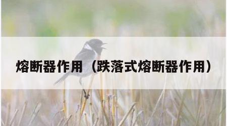 熔断器作用（跌落式熔断器作用）