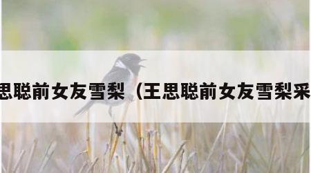 王思聪前女友雪梨（王思聪前女友雪梨采访）