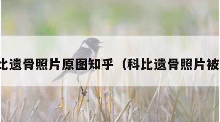 科比遗骨照片原图知乎（科比遗骨照片被传）