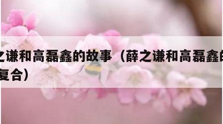薛之谦和高磊鑫的故事（薛之谦和高磊鑫的故事 复合）