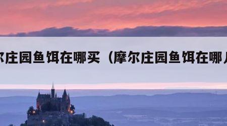 摩尔庄园鱼饵在哪买（摩尔庄园鱼饵在哪儿买）