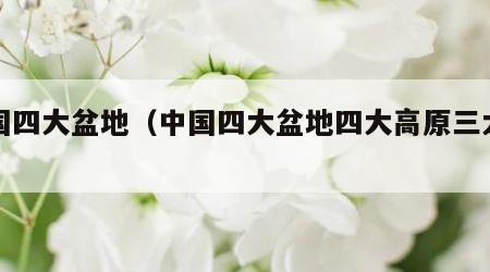 中国四大盆地（中国四大盆地四大高原三大平原）