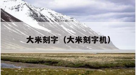 大米刻字（大米刻字机）
