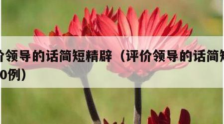 评价领导的话简短精辟（评价领导的话简短精辟50例）