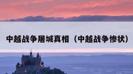 中越战争屠城真相（中越战争惨状）