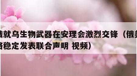 美俄就乌生物武器在安理会激烈交锋（俄美就战略稳定发表联合声明 视频）