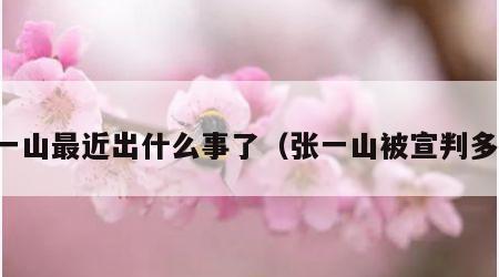 张一山最近出什么事了（张一山被宣判多久）