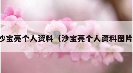 沙宝亮个人资料（沙宝亮个人资料图片）