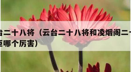 云台二十八将（云台二十八将和凌烟阁二十四功臣哪个厉害）