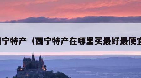 西宁特产（西宁特产在哪里买最好最便宜）