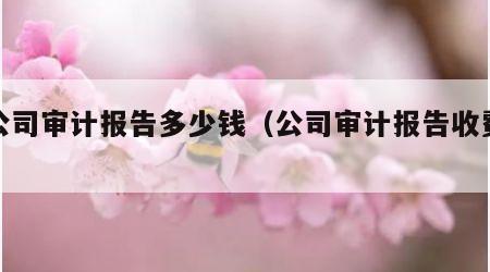 小公司审计报告多少钱（公司审计报告收费标准）