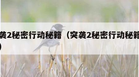 突袭2秘密行动秘籍（突袭2秘密行动秘籍攻略）