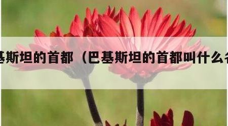 巴基斯坦的首都（巴基斯坦的首都叫什么名字?）