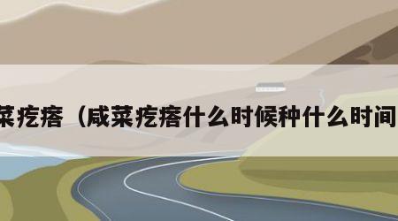 咸菜疙瘩（咸菜疙瘩什么时候种什么时间收）