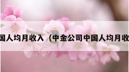 中国人均月收入（中金公司中国人均月收入）
