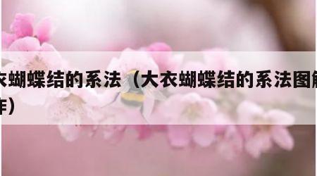 大衣蝴蝶结的系法（大衣蝴蝶结的系法图解慢动作）