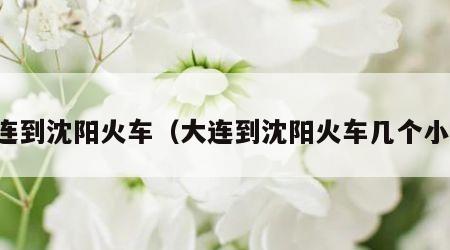 大连到沈阳火车（大连到沈阳火车几个小时）