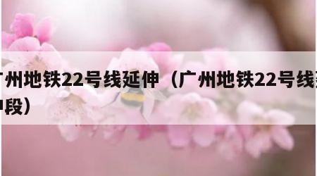 广州地铁22号线延伸（广州地铁22号线延伸段）