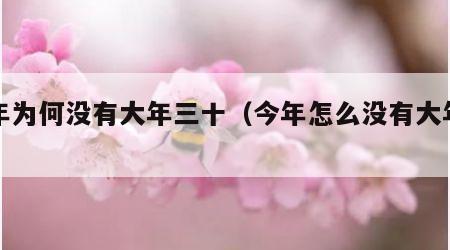 今年为何没有大年三十（今年怎么没有大年三十）