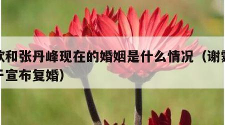洪欣和张丹峰现在的婚姻是什么情况（谢霆锋终于宣布复婚）