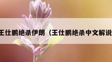 王仕鹏绝杀伊朗（王仕鹏绝杀中文解说）