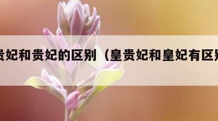 皇贵妃和贵妃的区别（皇贵妃和皇妃有区别吗）